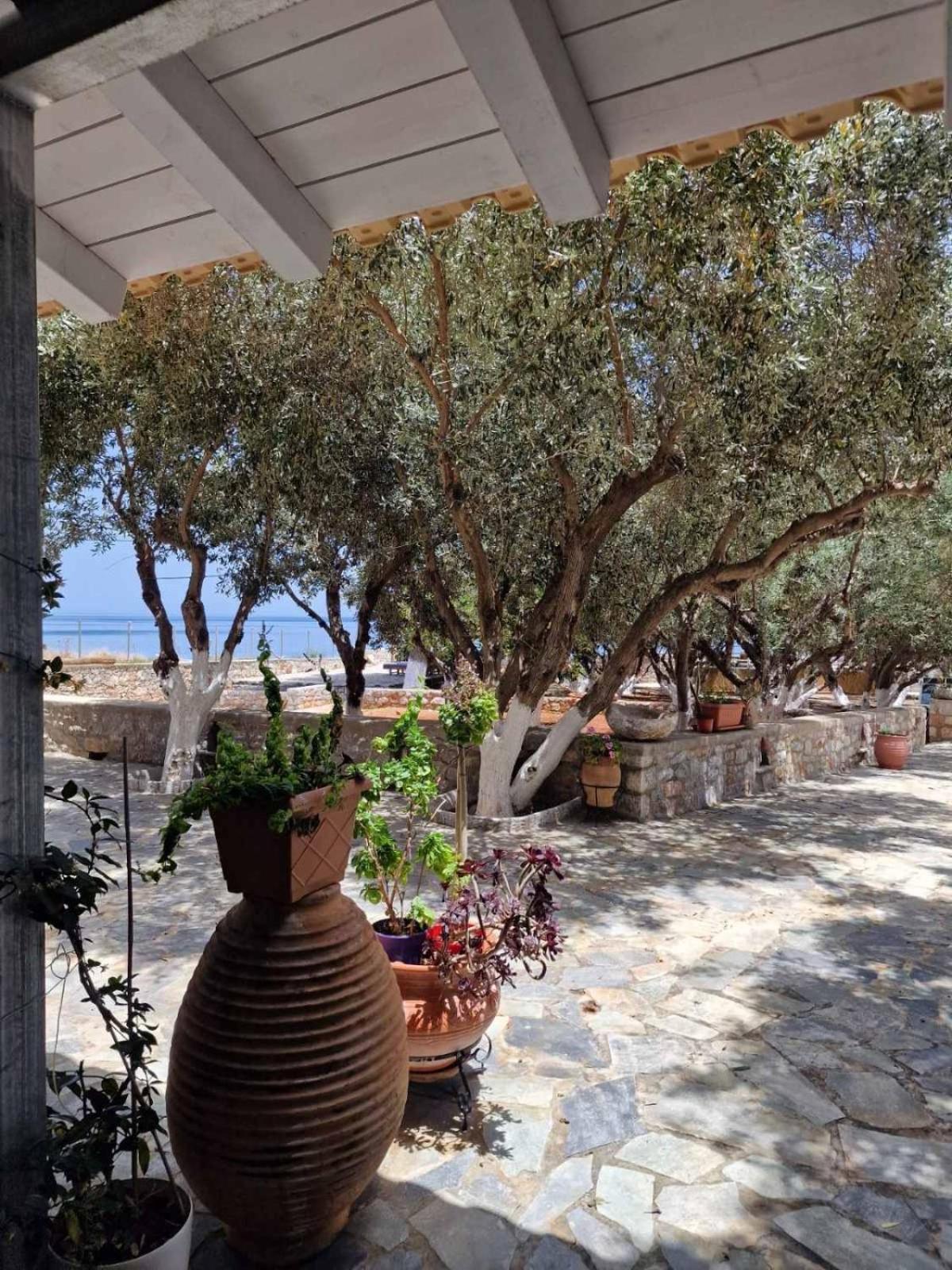 Ktima Zaxarias Kokkala Exterior foto