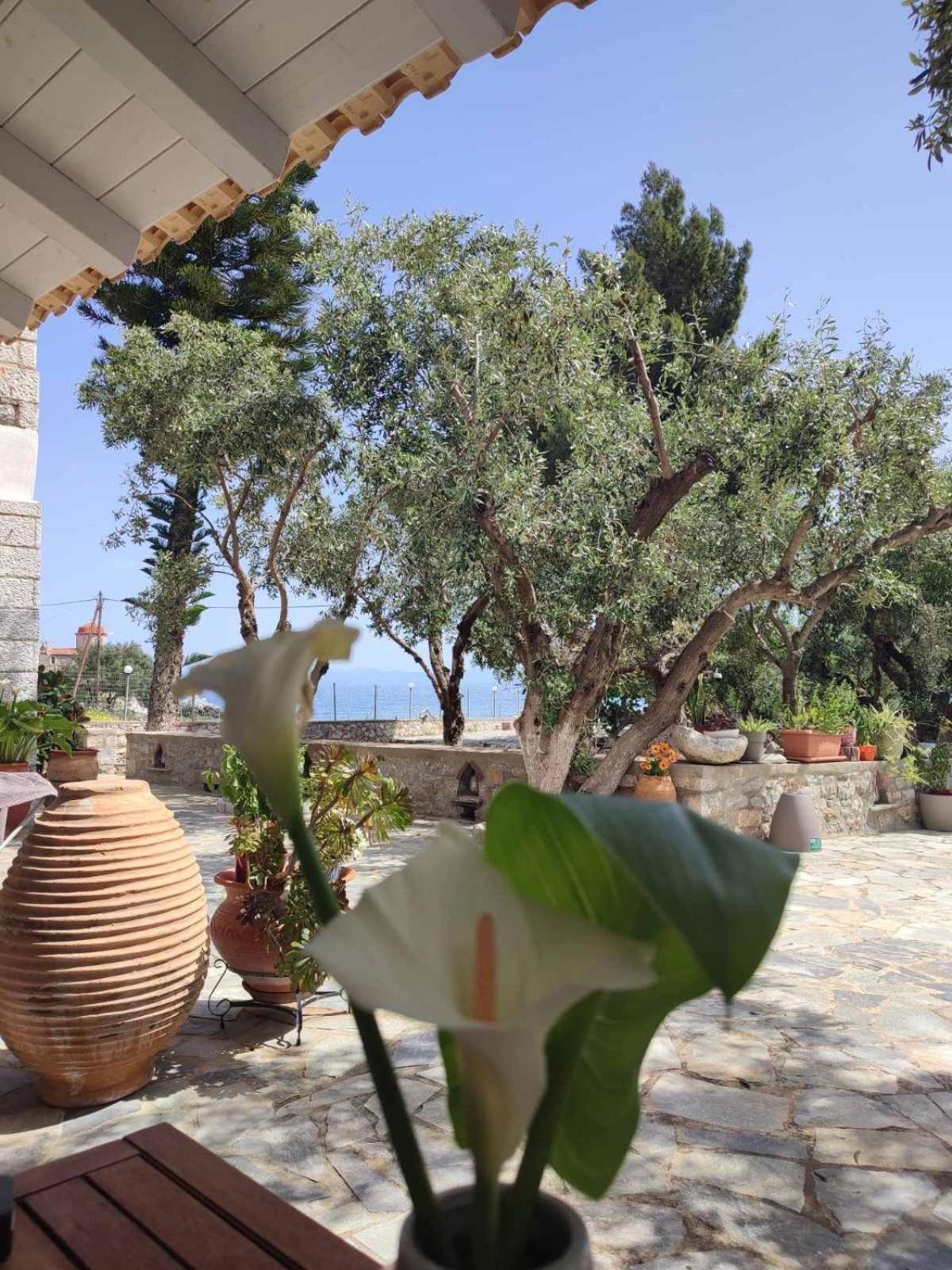 Ktima Zaxarias Kokkala Exterior foto
