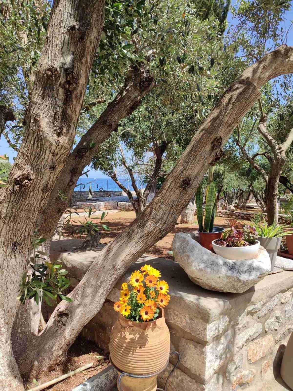 Ktima Zaxarias Kokkala Exterior foto